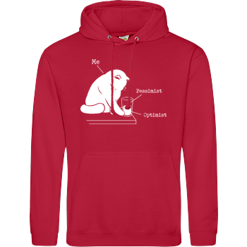 Glass graphic JH Hoodie - red