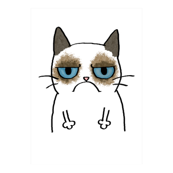 Grumpy Cat Kunstdruck weiss