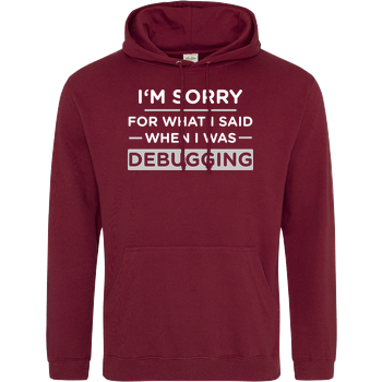 I'm sorry for what i said when i was debugging JH Hoodie - Bordeaux